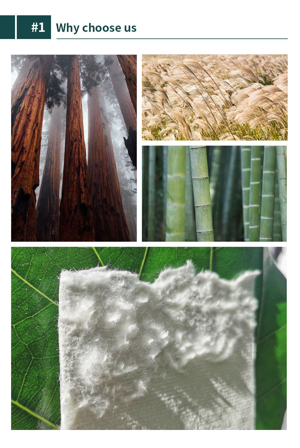 biodegradable sugarcane bowl