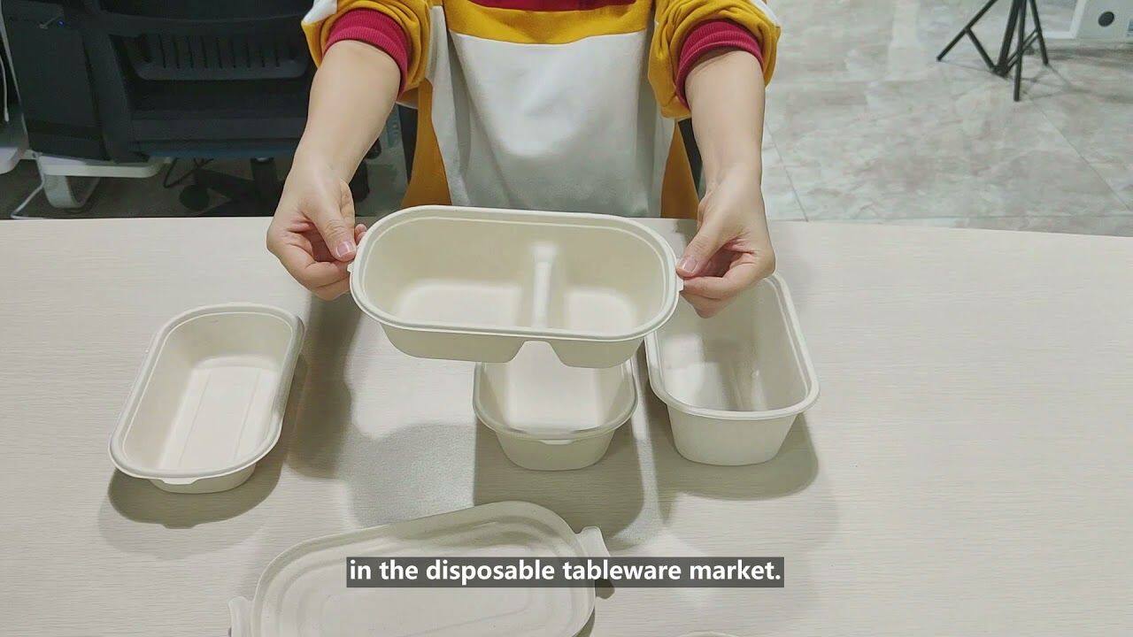 2 Compartments rectangle bagasse biodegradable food salad container boxes