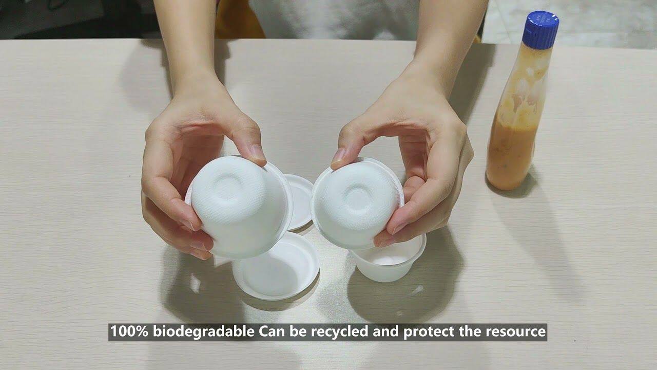 Biodegradable Sugarcane Bagasse Food Packaging Solution - To