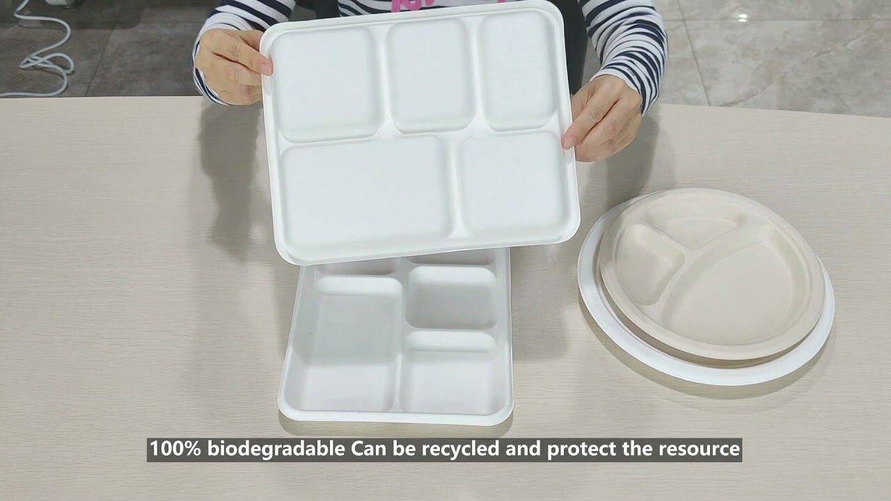 Recyclable Plant Fiber Pulp Sugarcane Bagasse Plate with compartments