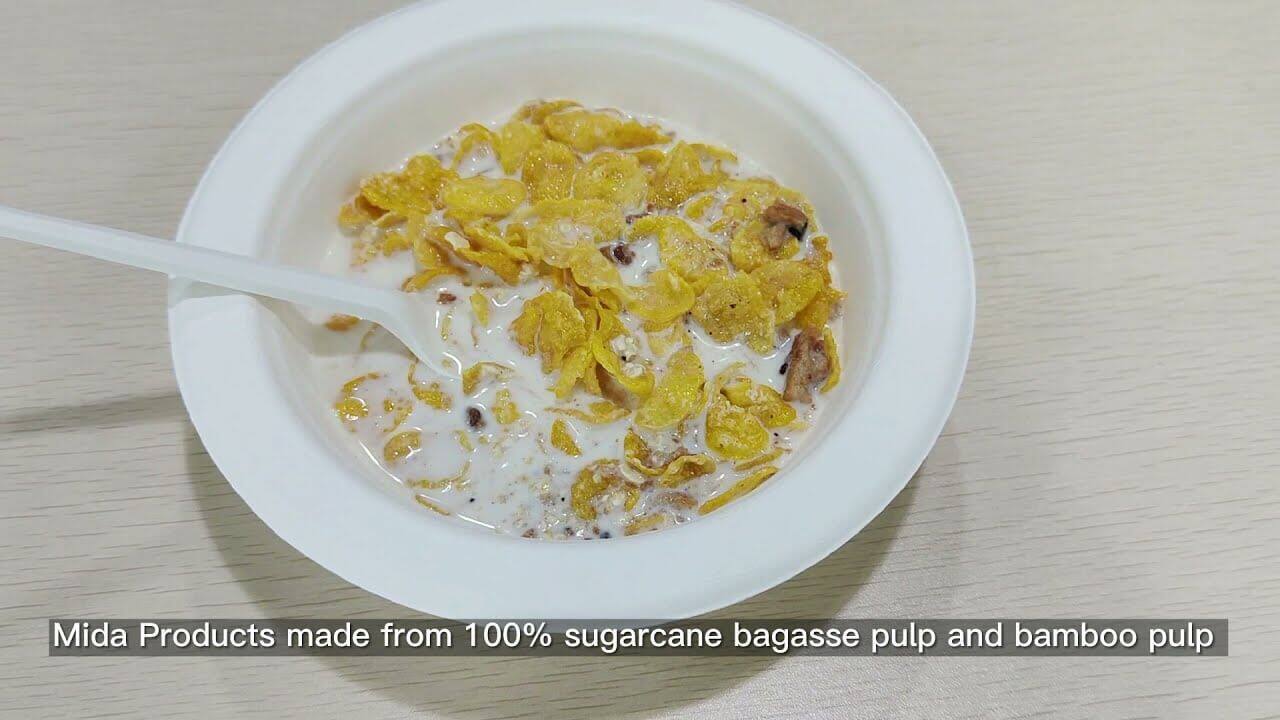 Sugarcane Bagasse Pulp Molded Tableware Disposable Biodegradable