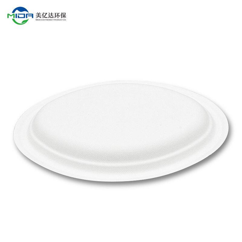custom biodegradable plate
