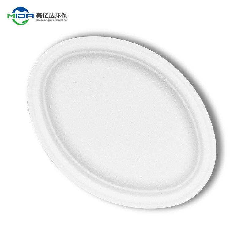 Food Safety Disposable Biodegradable Paper Plates