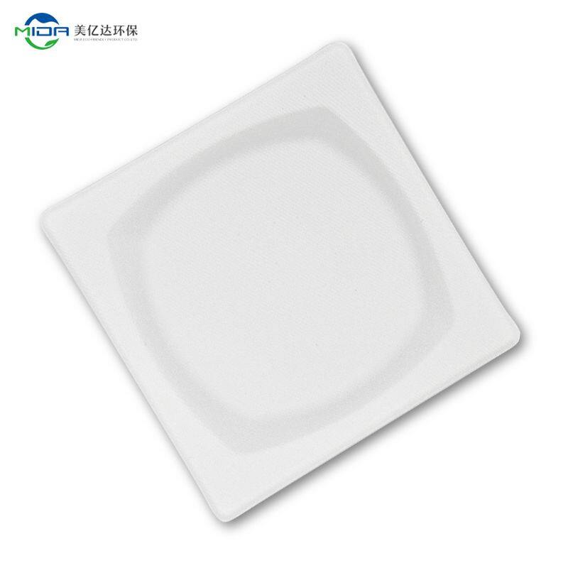 biodegradable reusable plate