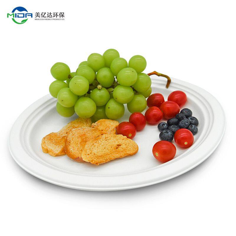 Compostable Bagasse Disposable ECO Friendly Sugarcane Small Oval Plate