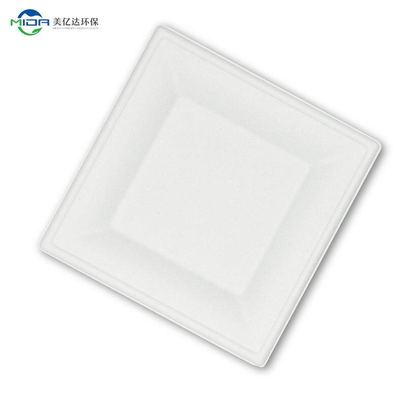 paper plates 9 inch biodegradable