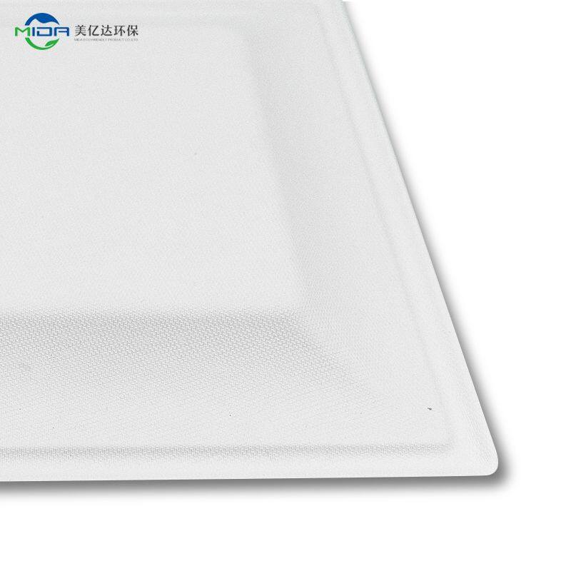 Food Packaging 8" Square Plate