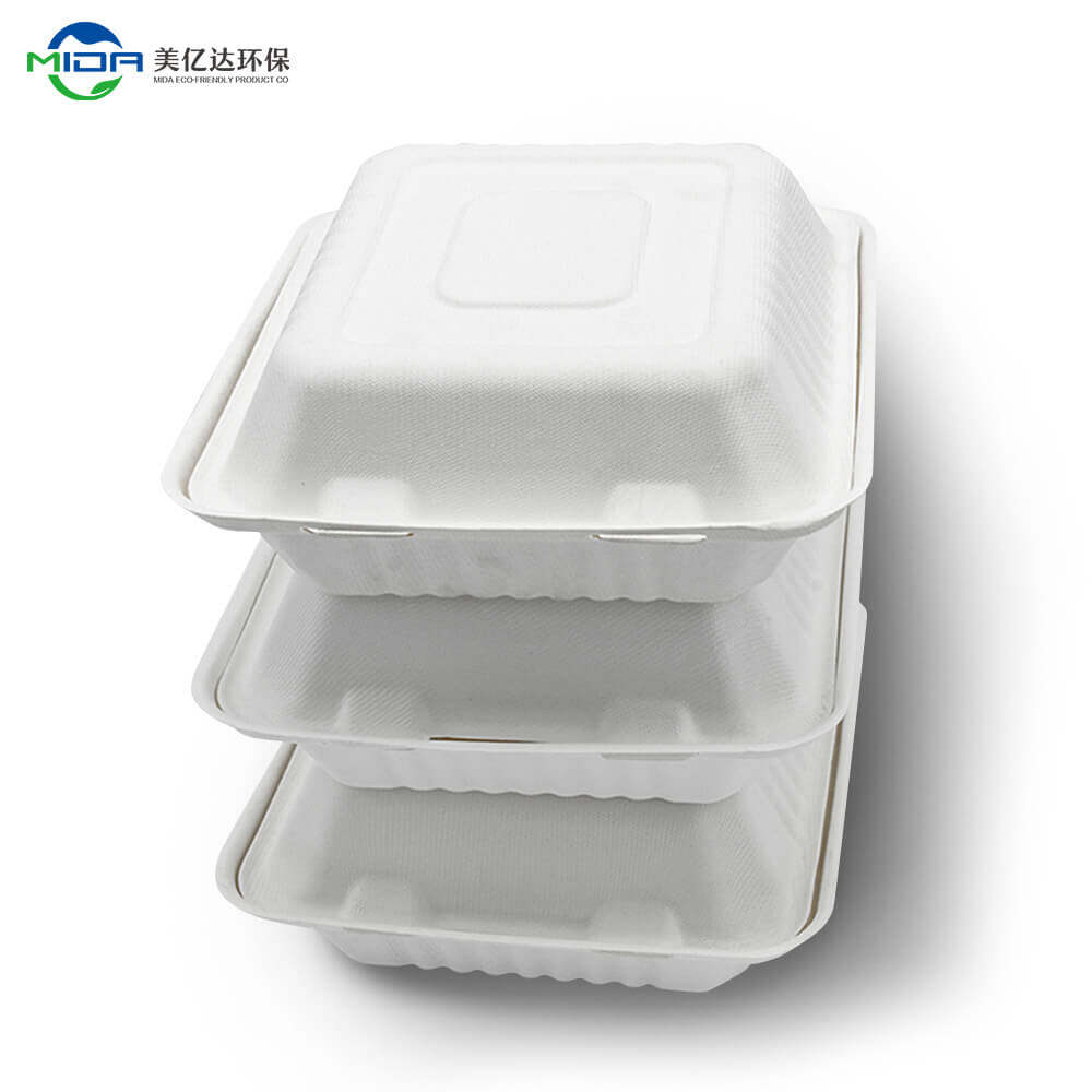 biodegradable takeaway boxes manufacturer