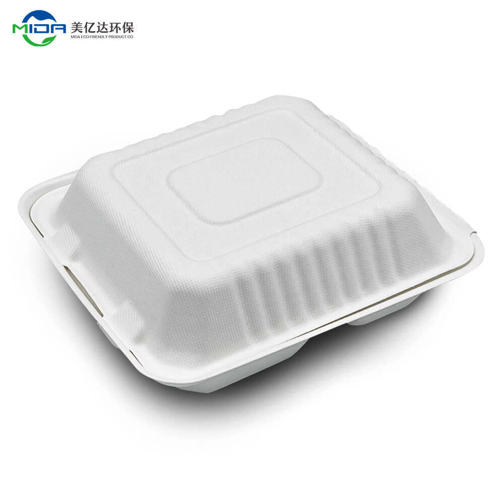 biodegradable takeaway boxes supplier