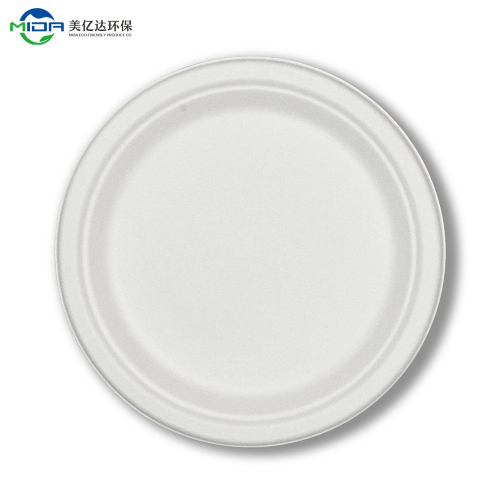 biodegradable lunch plate
