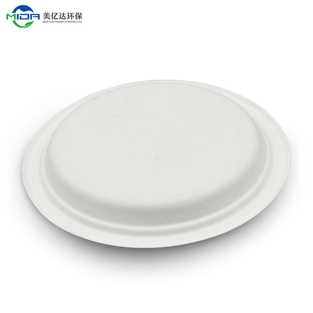 Bagasse Plate Biodegradable