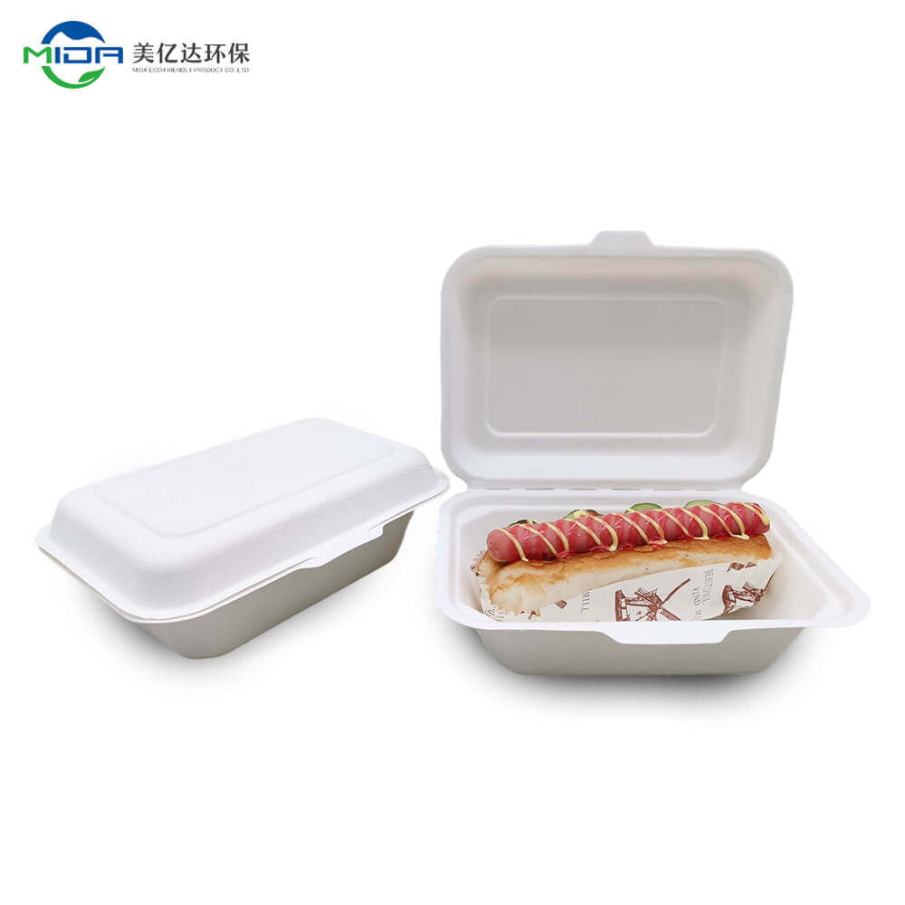 Biodegradable Disposable Lunch Box Takeaway Food Box