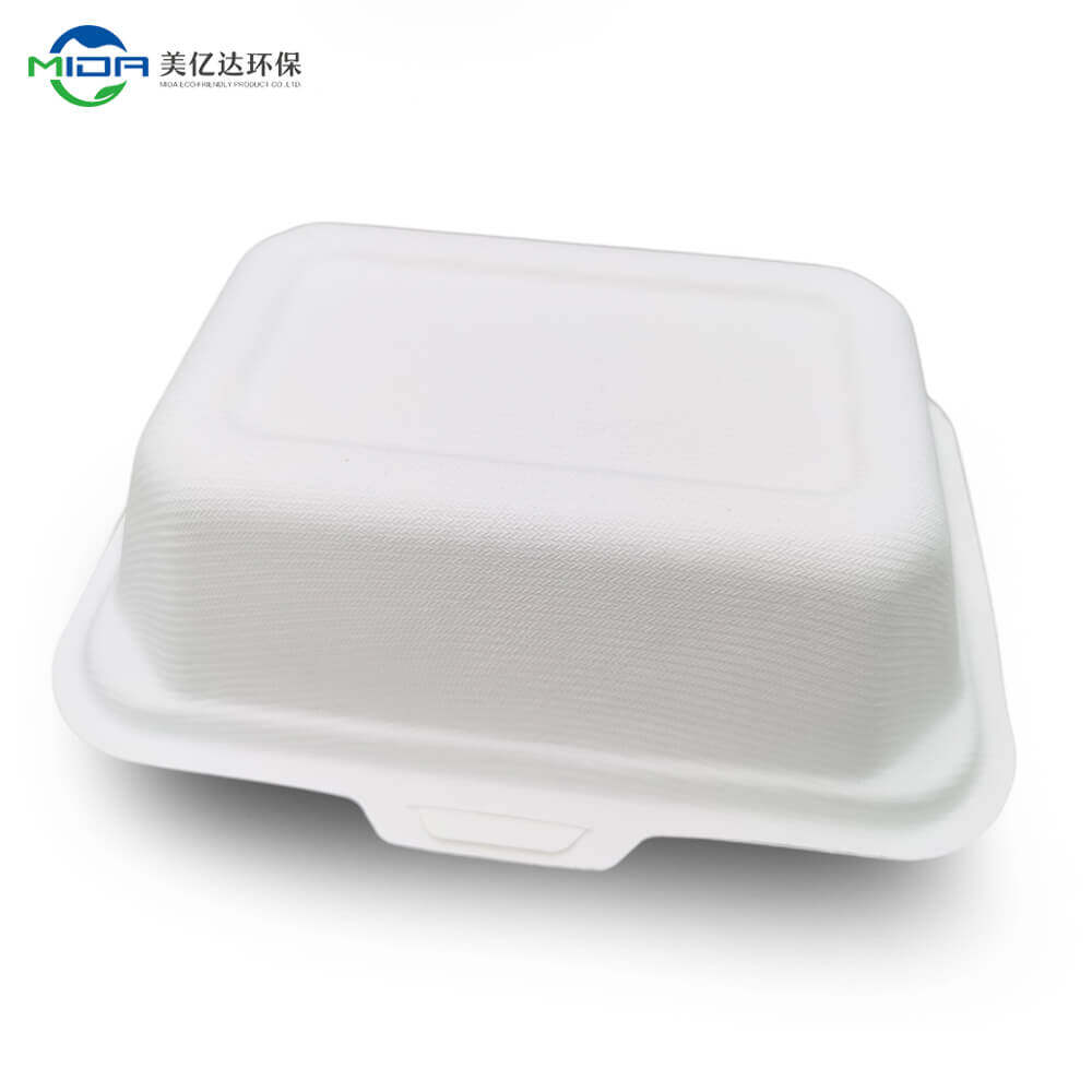 Biodegradable Disposable Lunch Box Takeaway Food Box