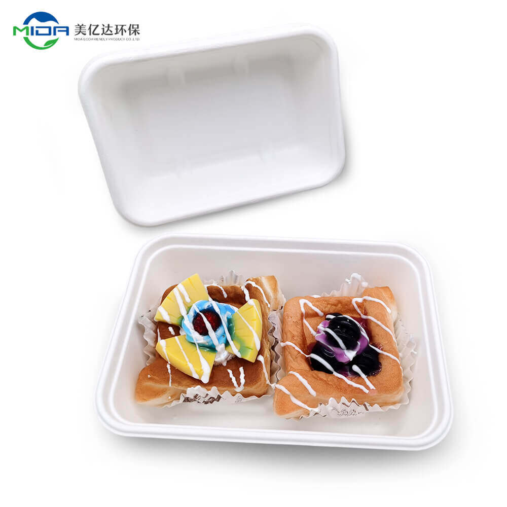 Biodegradable Cake Slice Donut Cupcake Takeout Boxes