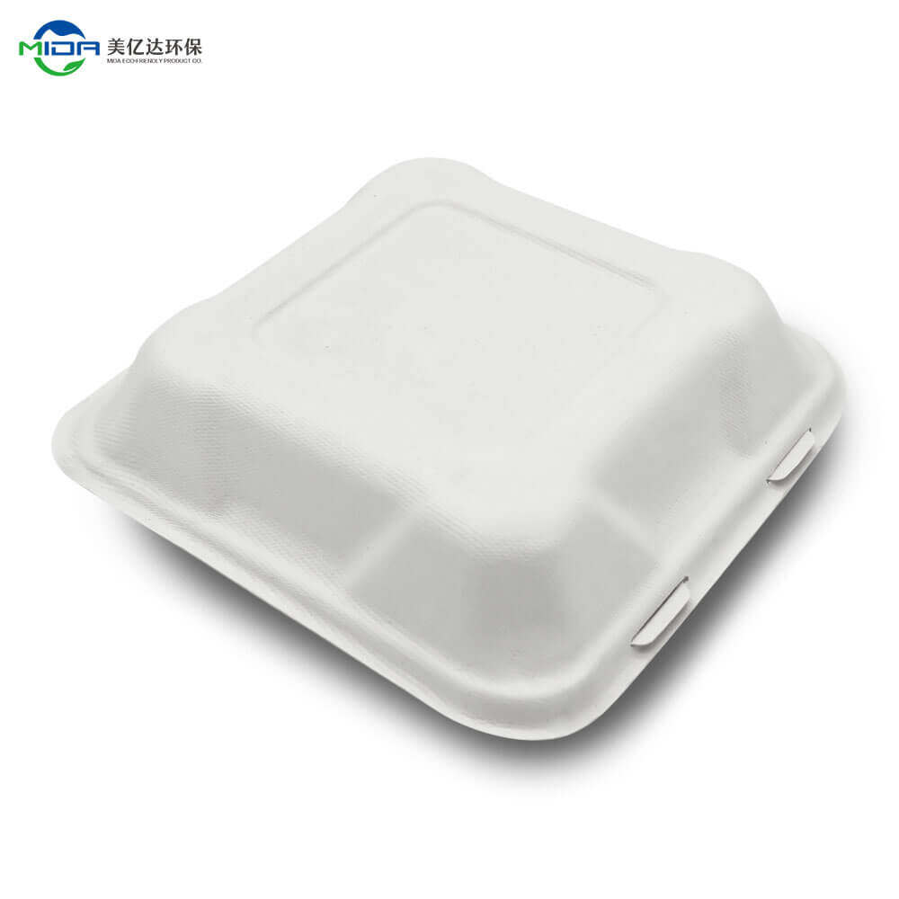 Biodegradable Takeout Food Container Box