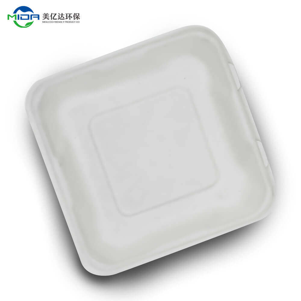 Biodegradable Takeout Food Container Box Supplier