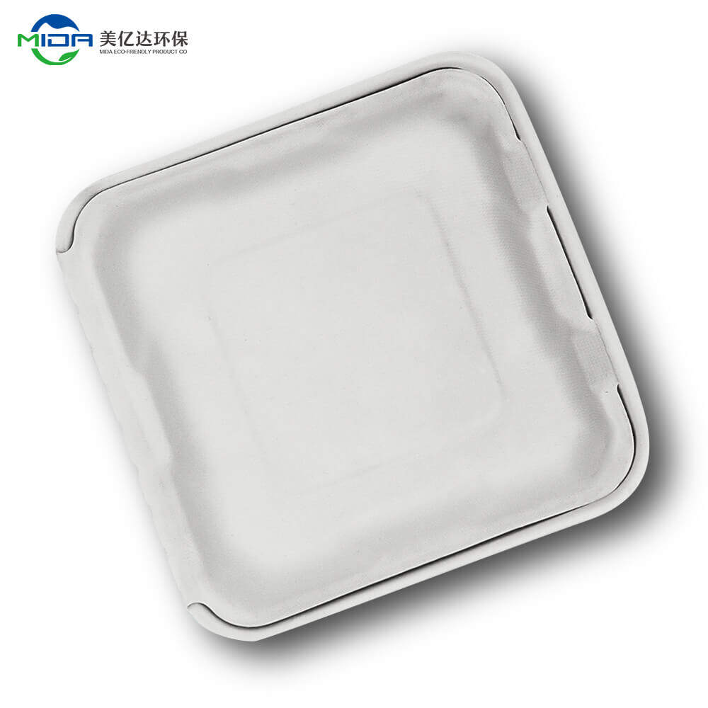 Biodegradable Takeout Food Box Wholesale
