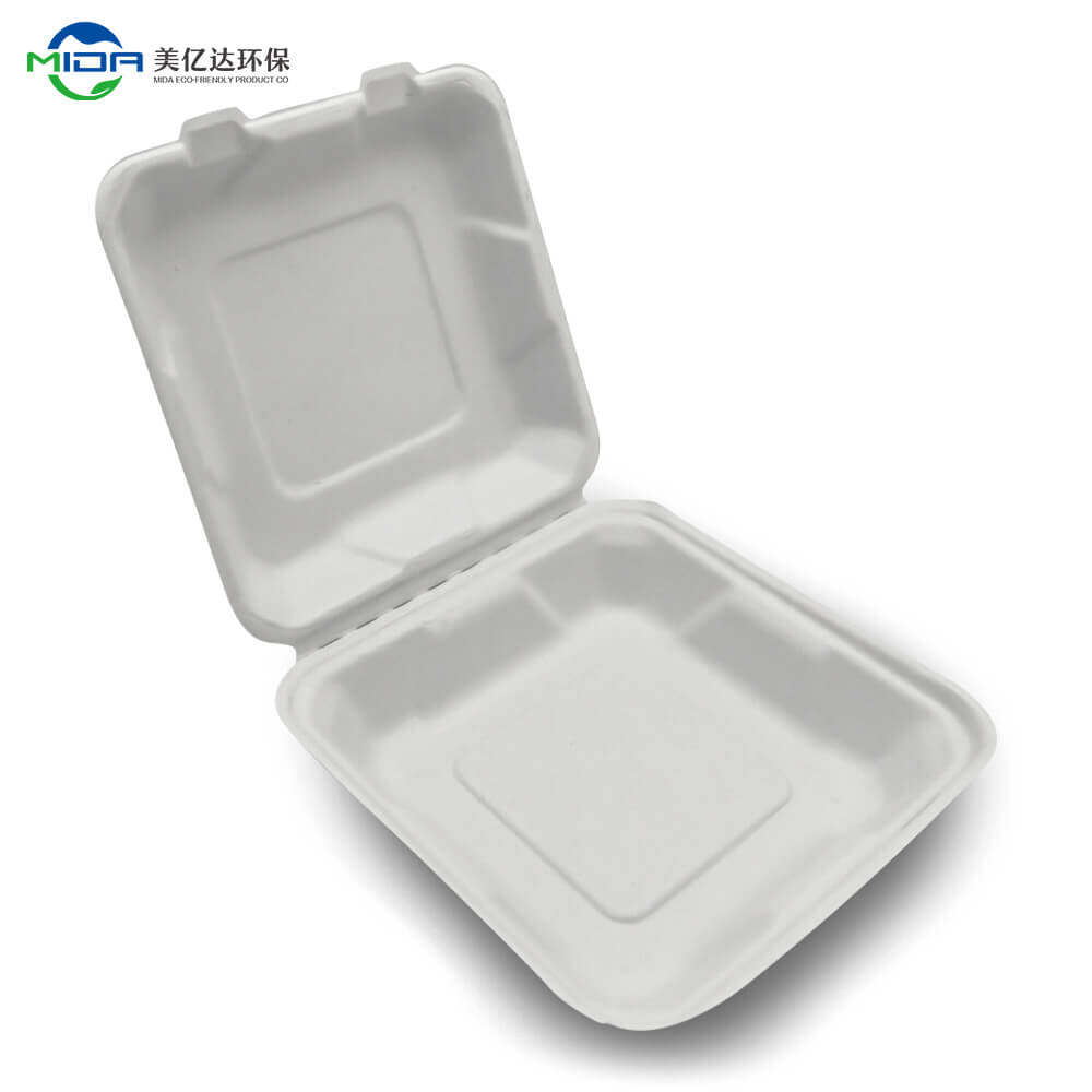 Biodegradable Takeout Food Box