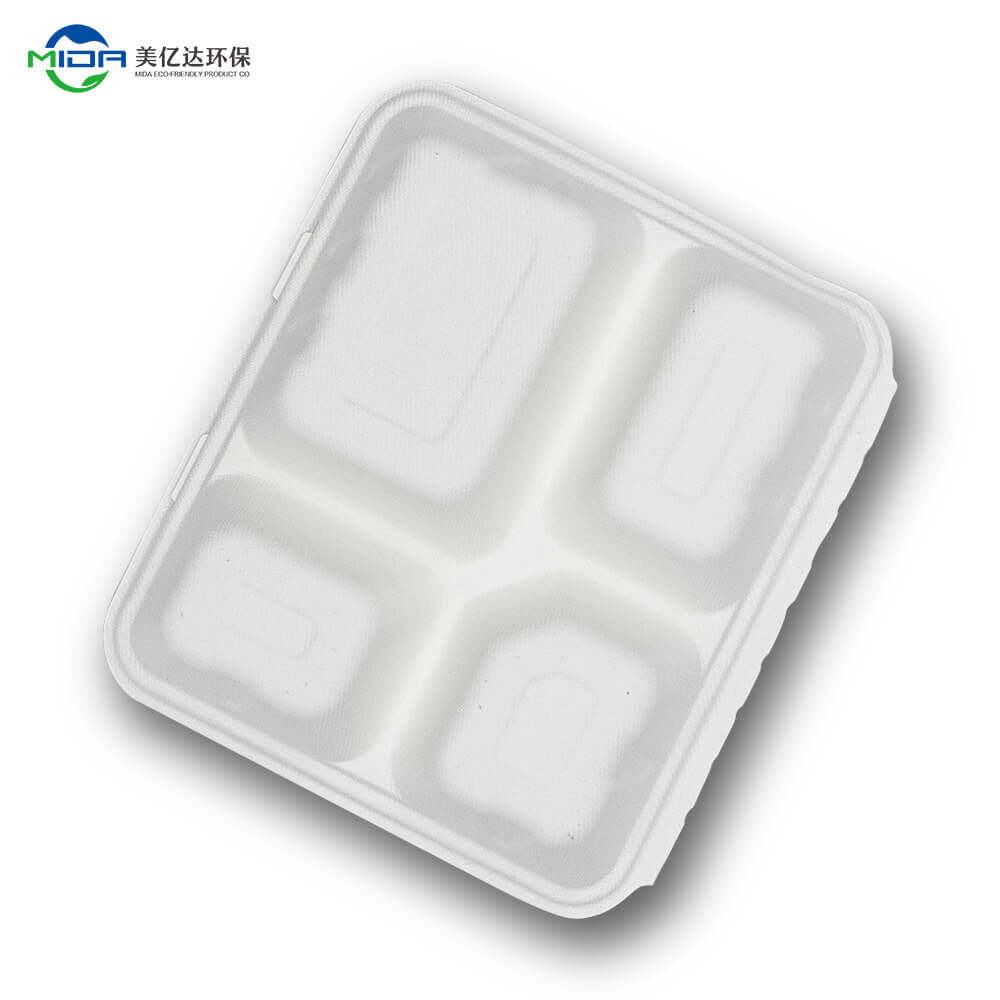 Biodegradable Food Box Wholesale