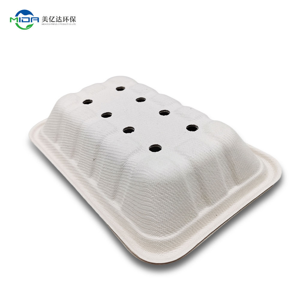 biodegradable seed pots and trays