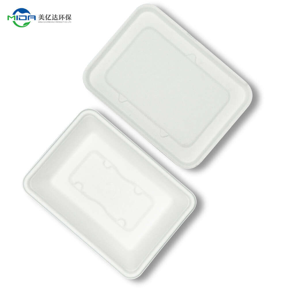 100% Biodegradable Food Container Takeout Box