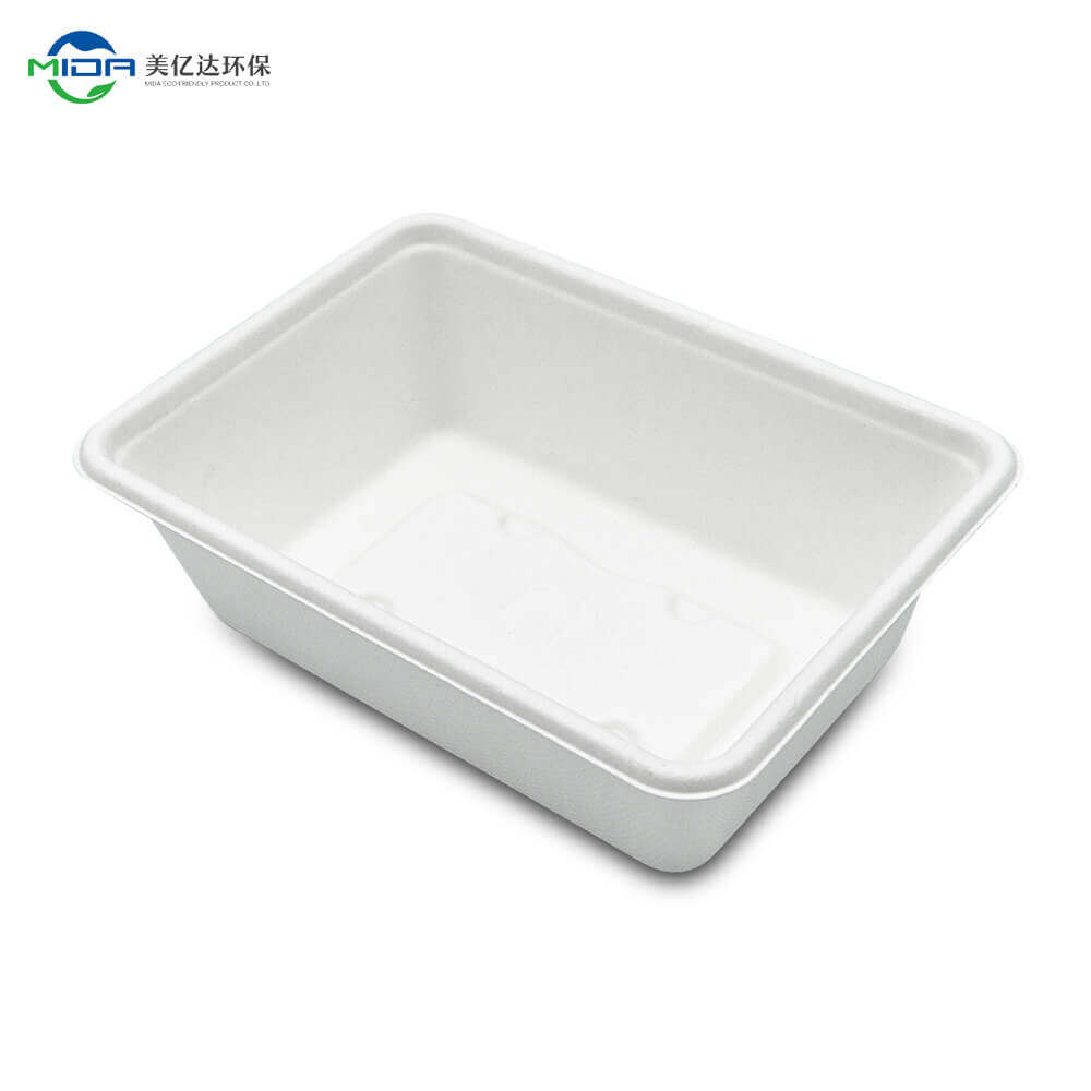 Disposable Box Food Container Biodegradable