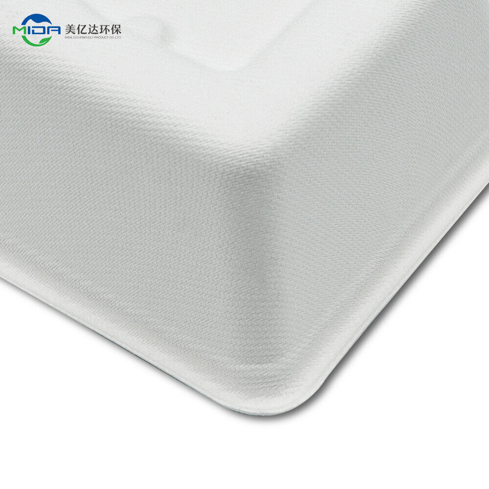 100% Biodegradable Food Container Box Supplier