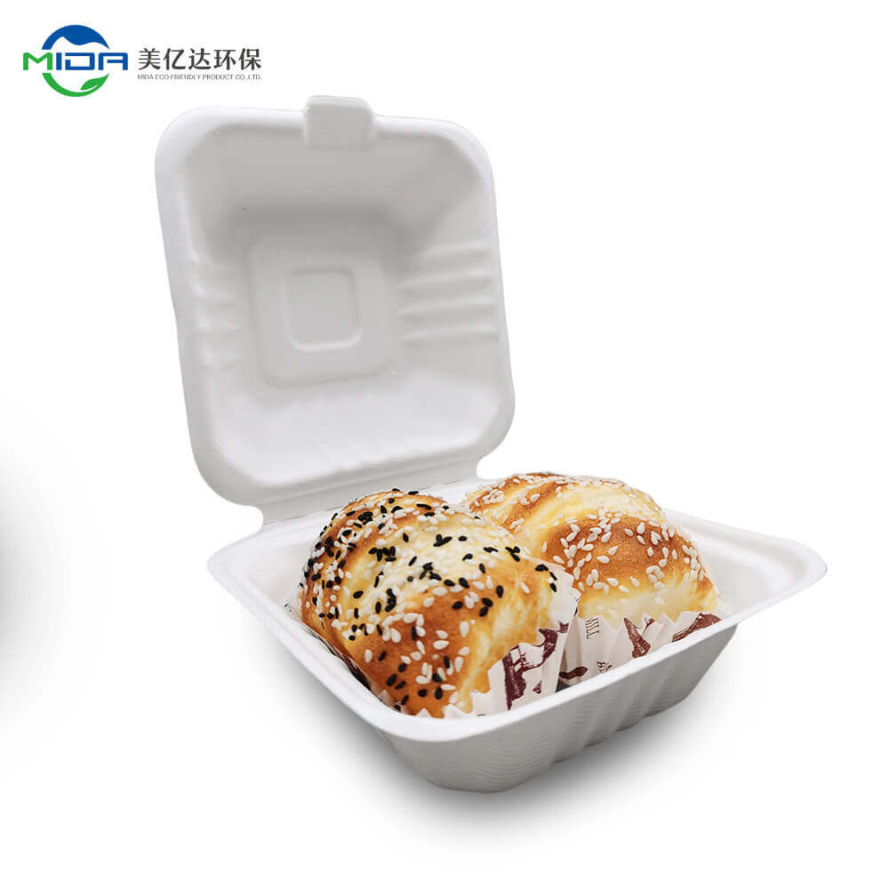 Enjoy Outdoor Meals with The Disposable Lunch Box - MIDA