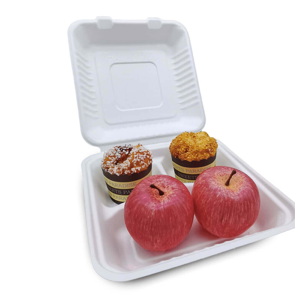 Disposable Multi Compartment Lunch Box Reusable