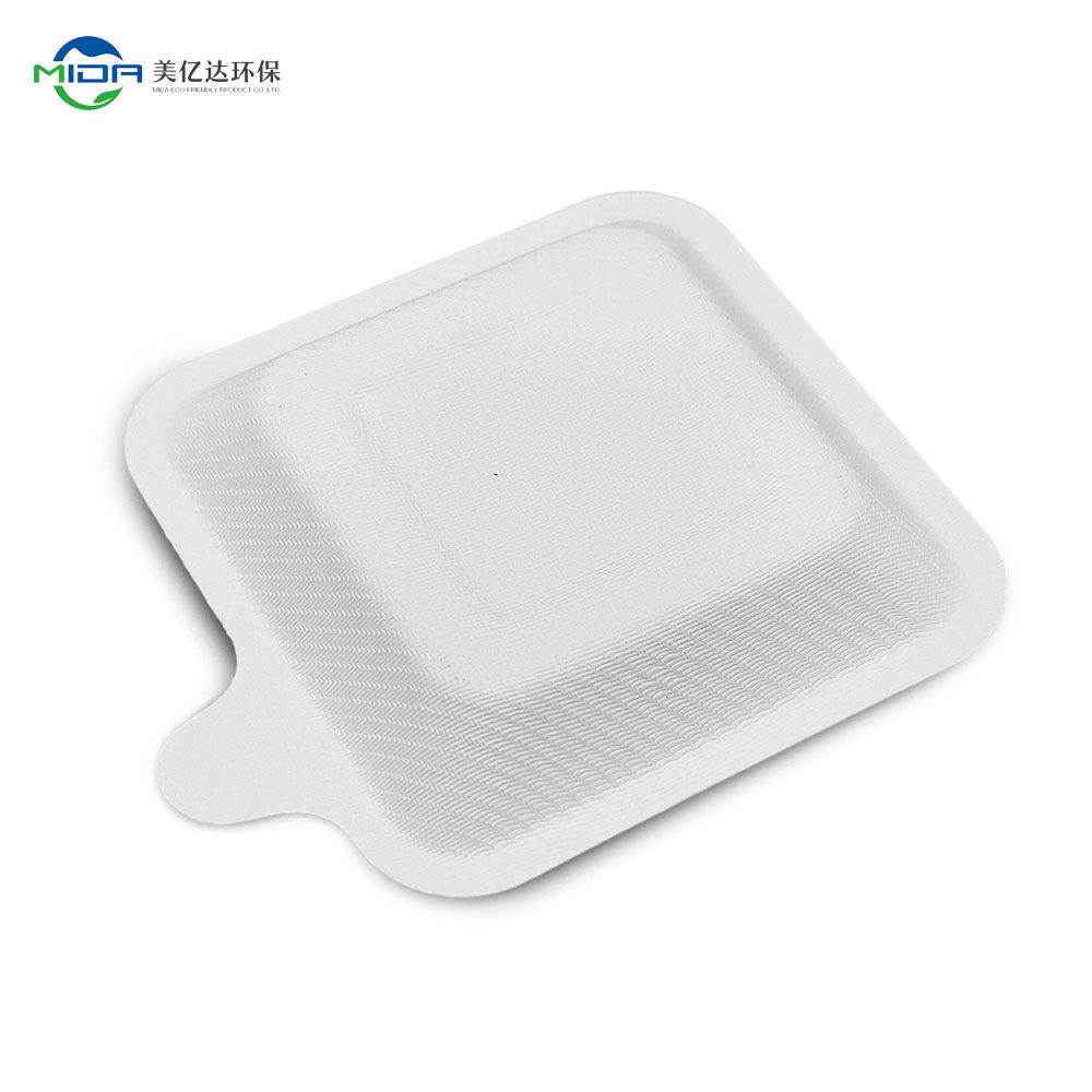 biodegradable rectangle plates