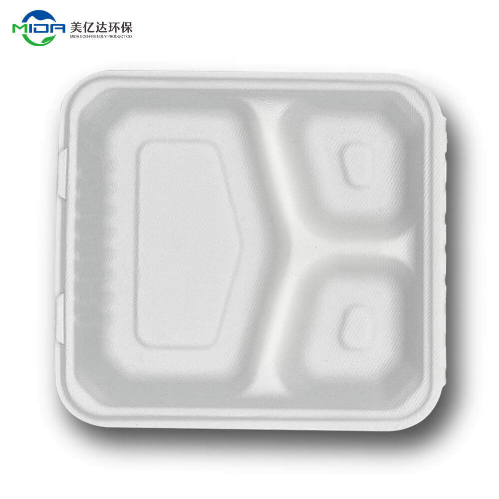 biodegradable meal boxes wholesaler