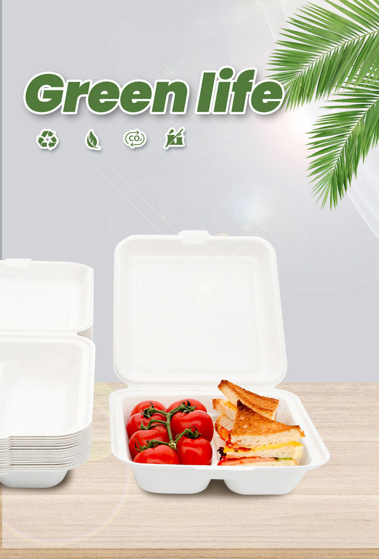 biodegradable paper packaging box