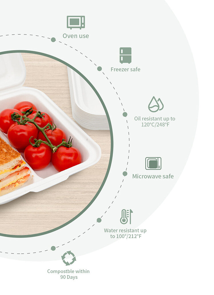 100% biodegradable food box