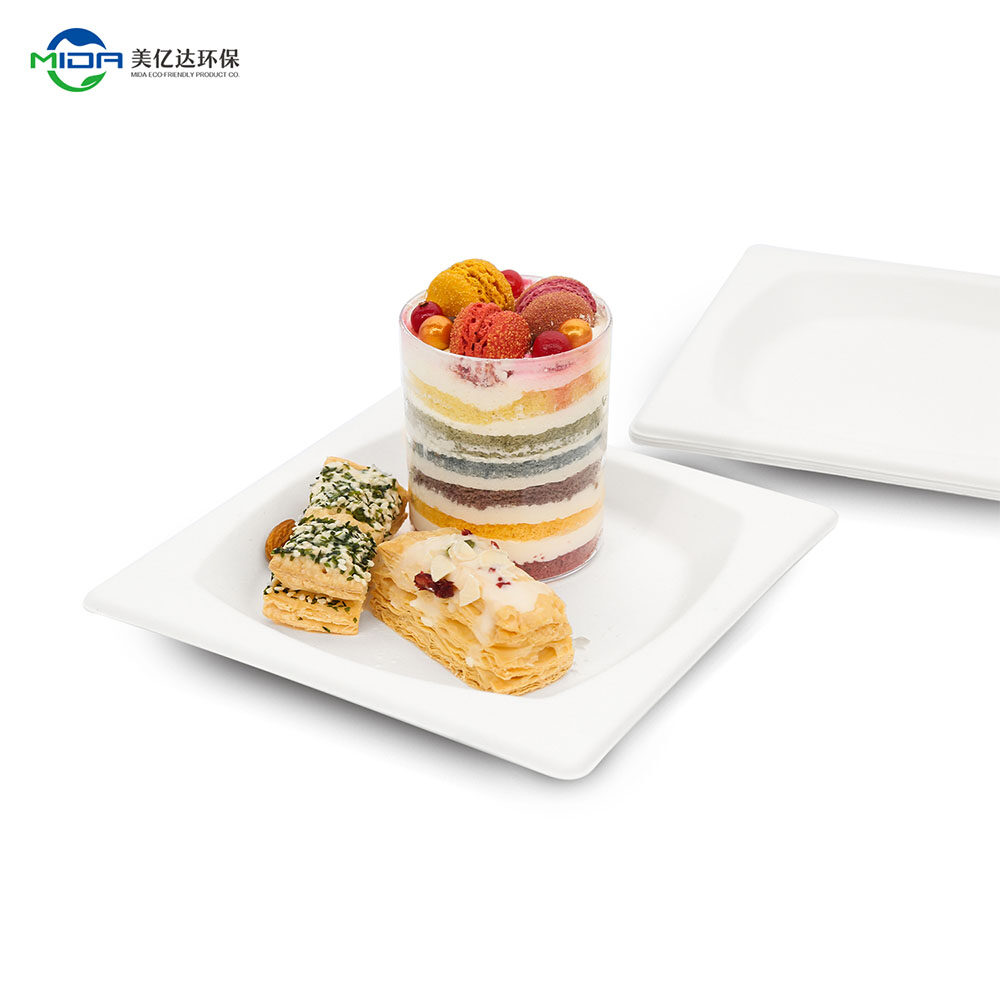 6 Inch Plant Fiber Plate To Go Food Plates