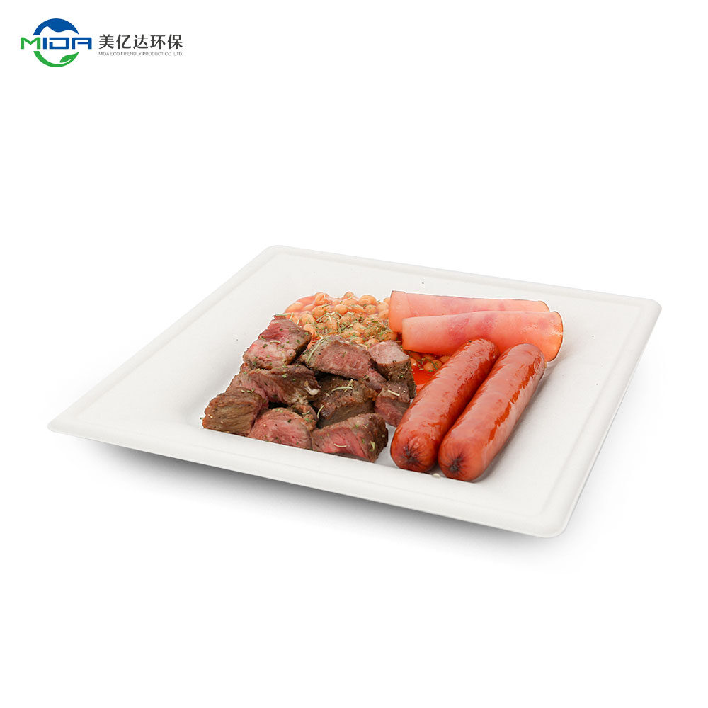 8 Inch Square Plates Bio Based Food Container