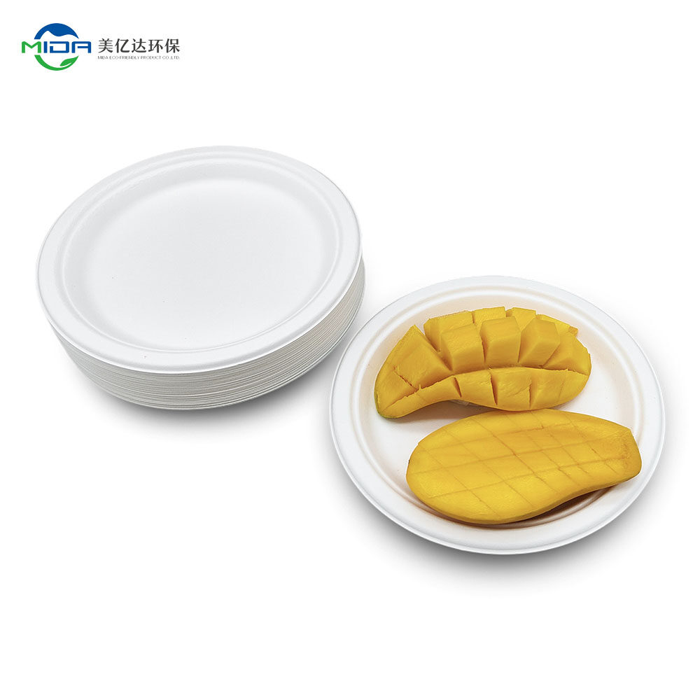 Customized Biodegradable Round Paper Plate