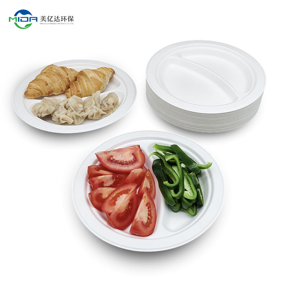 Sustainable Takeaway Containers 9 inch 2 Partition Plate
