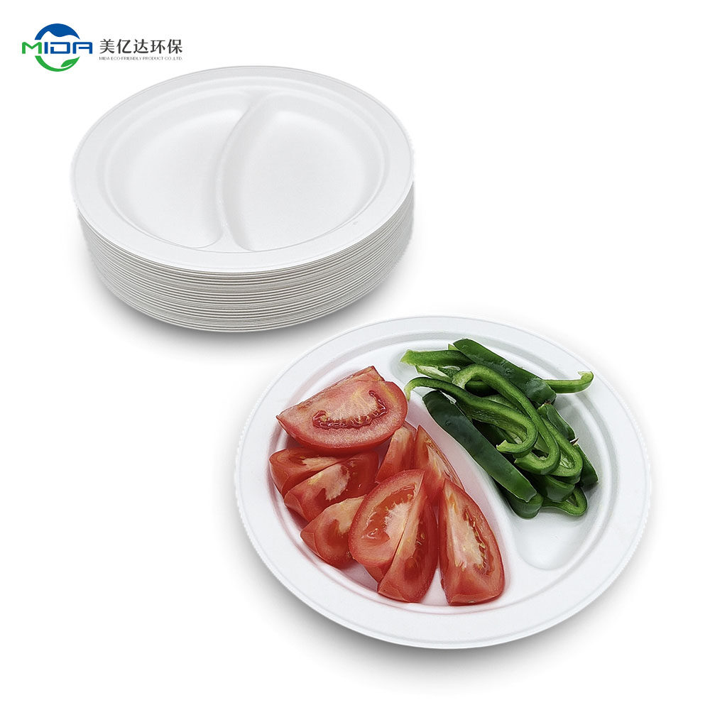 Paper Plates 9 Inch Biodegradable
