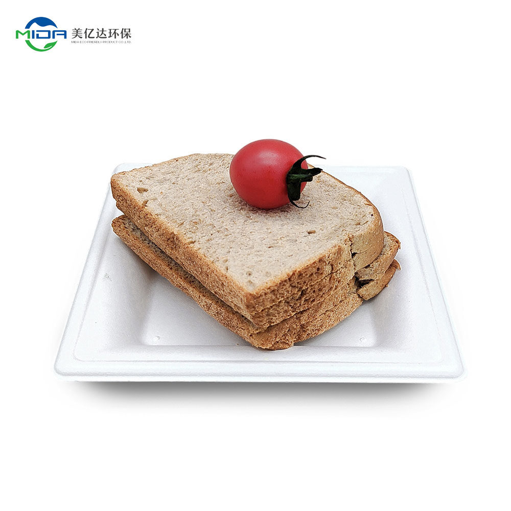 6 Inch Biodegradable Sugarcane Square Plates for Party
