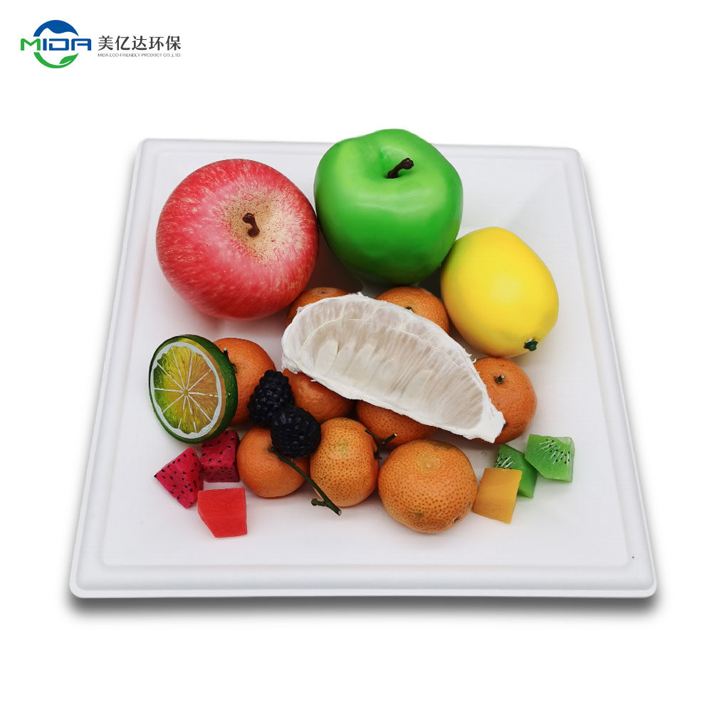 10 Inch Molded Fiber Go Green Food Container