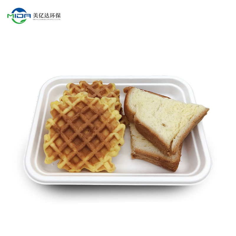 Customized Fiber Tableware Green Food Packing Plates