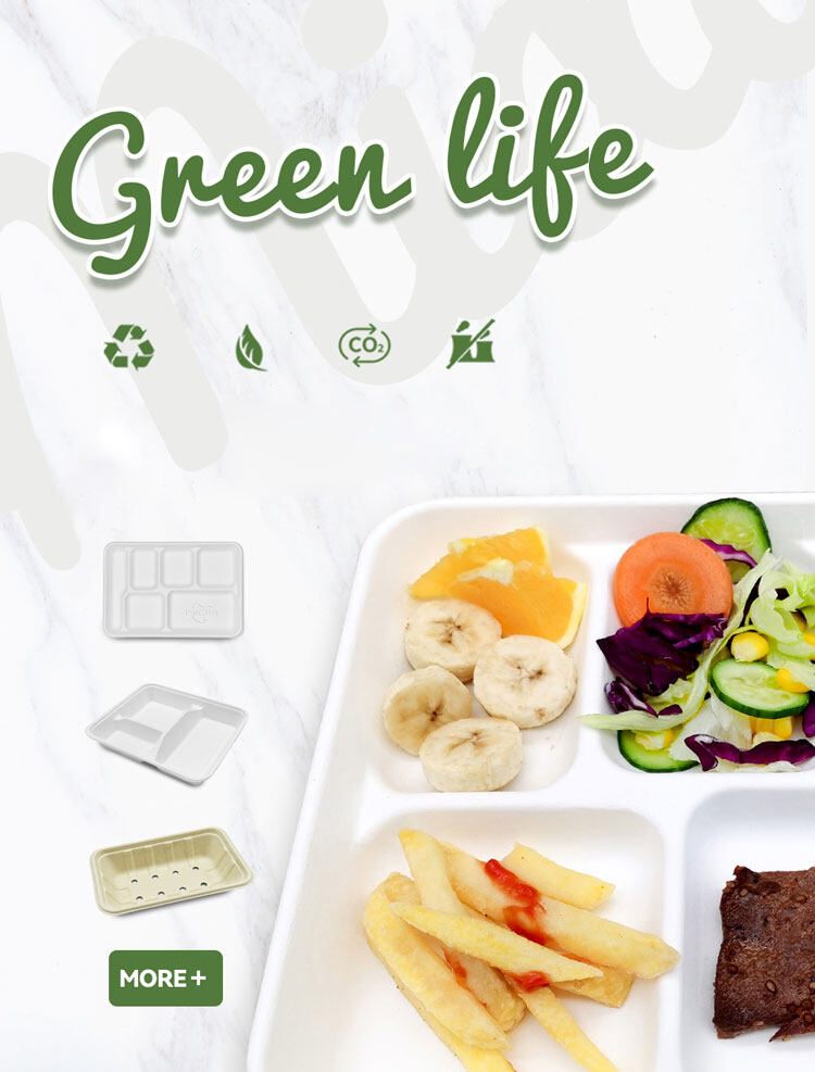 biodegradable good tray