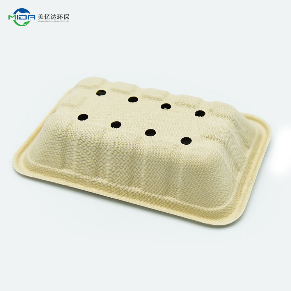 biodegradable trays for plants