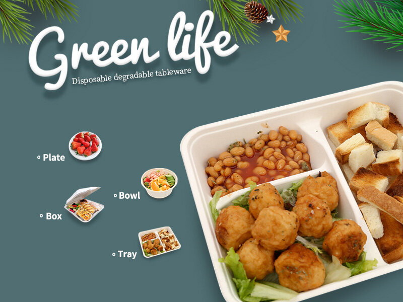 Fiber Food Containers Go Green Tableware Box