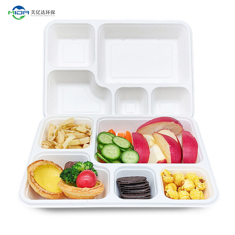 Biodegradable Wholesale Takeaway Food Containers for Food