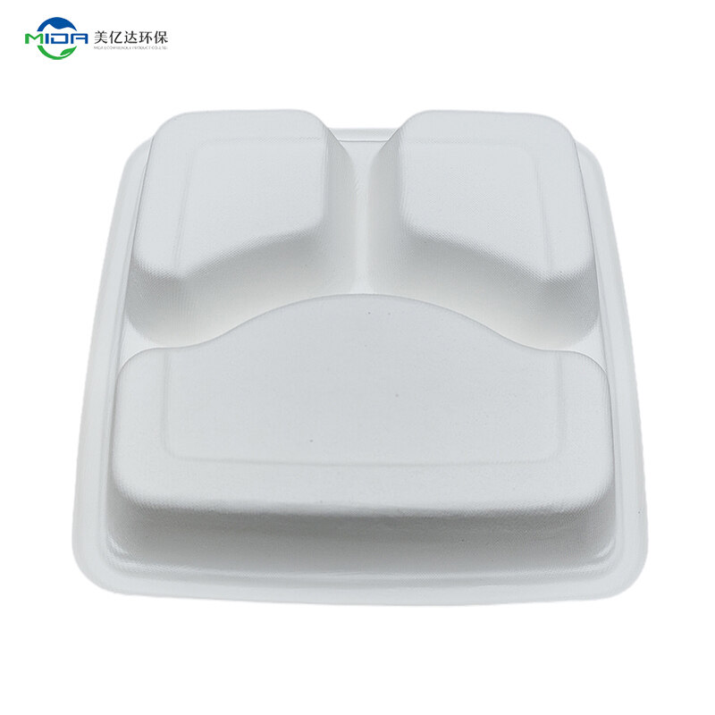disposable food trays with lid
