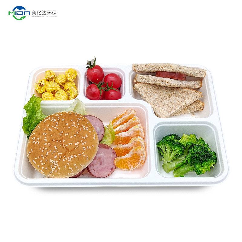 Biodegradable Food Containers Wholesale Serving Platters 5 Compartment Lunch Tray