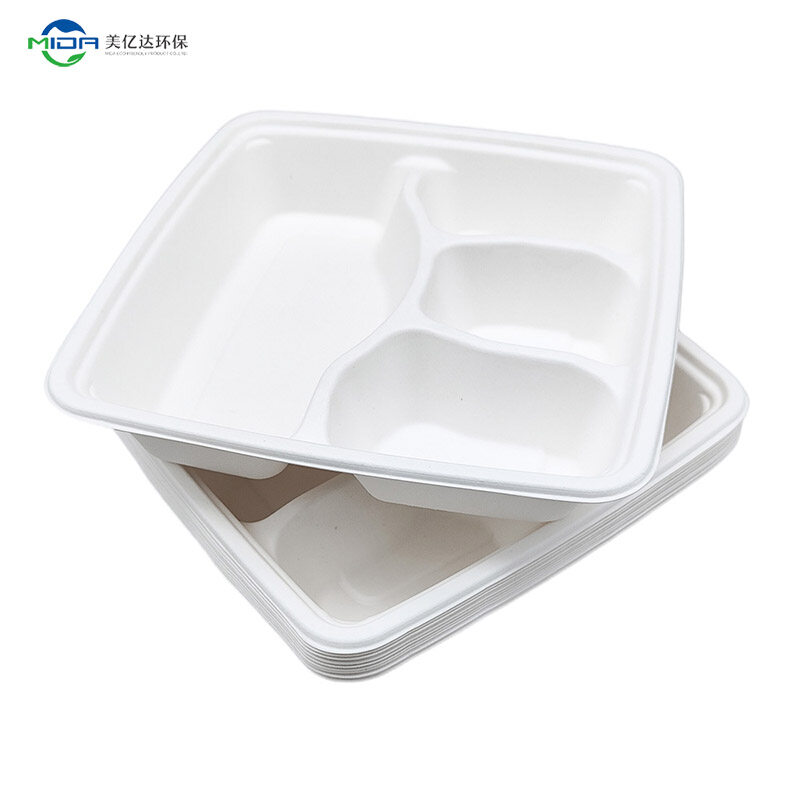 disposable food trays with lid