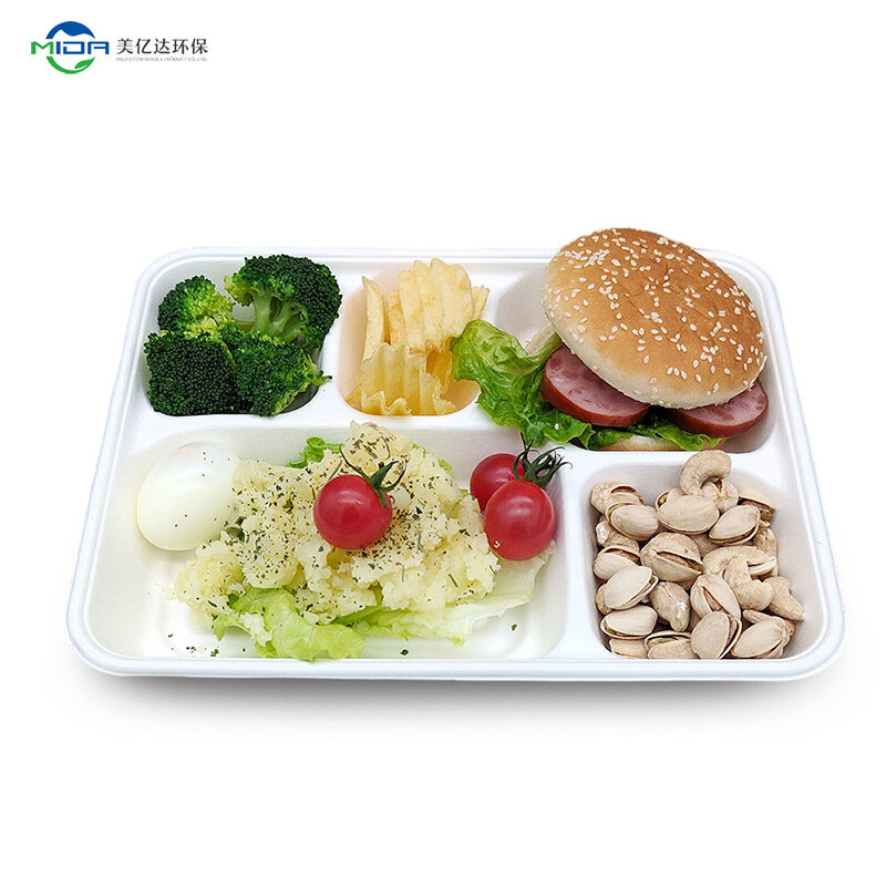 Biodegradable Bamboo Plates Bulk Compostable Containers 5 Compartment Tray for Food