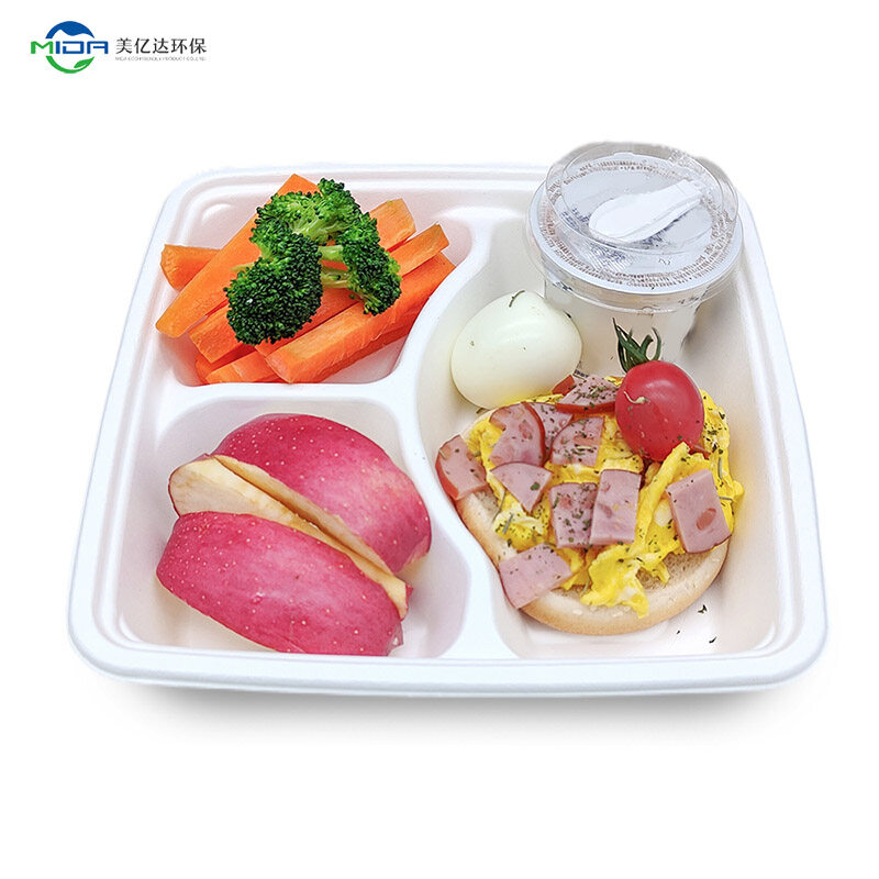 Compostable Clamshell Containers Take Away Box Food Eco Friendly Sushi Tray